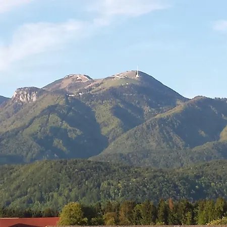 Vandrarhem Mama's House *