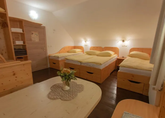 Hostal Mama's House *