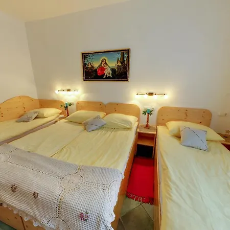 Auberge de jeunesse Mama's House