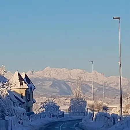 Mama's House אכסניה