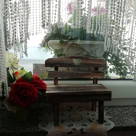 אכסניה Mama's House *