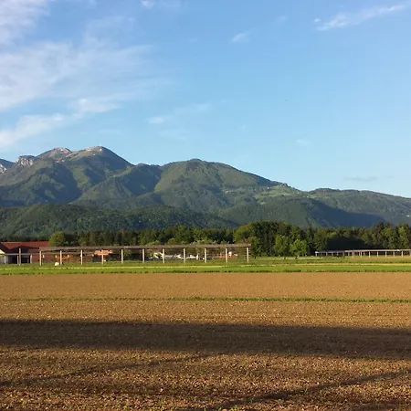 Mama's House 호스텔