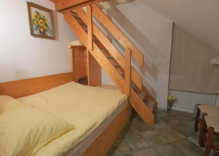 Mama's House بيت شباب سيركلجي نا جورينجسكيم