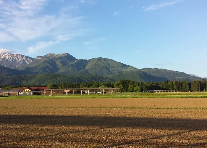 Mama's House بيت شباب